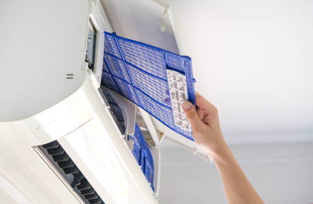 Best Air Duct Mold Removal  in Parker, FL